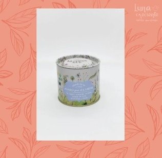 Producto - Paseo por el campo-Té negro,Naranja,Canela,Pasas de uva,Jazmines,Rosas - 1