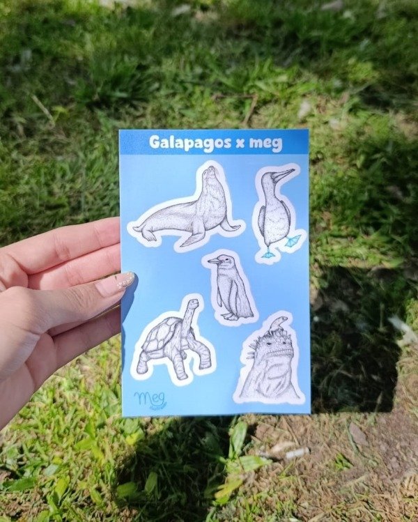 Producto - Plancha Galápagos