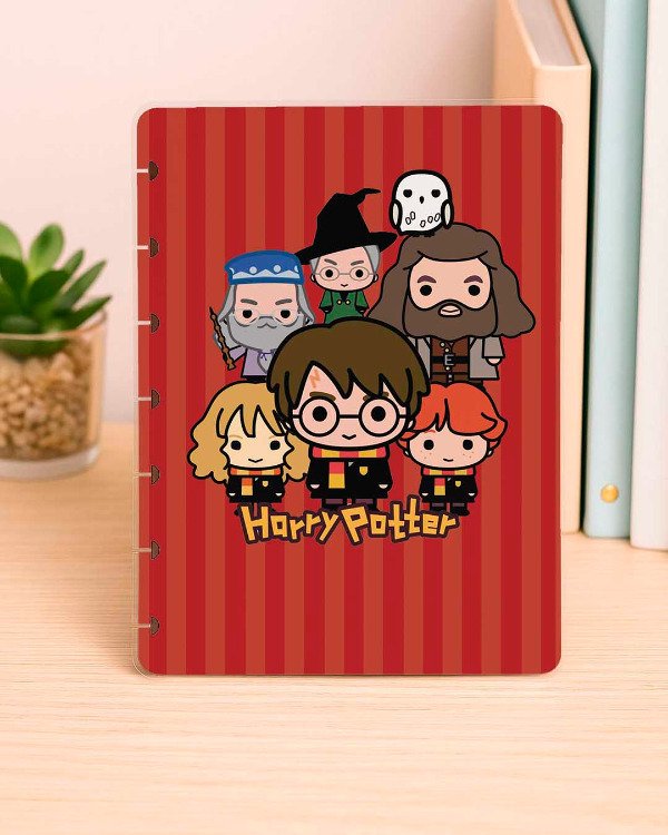 Producto - Tapas Harry Potter y el mundo mágico - Ilustrada (Incluye discos)