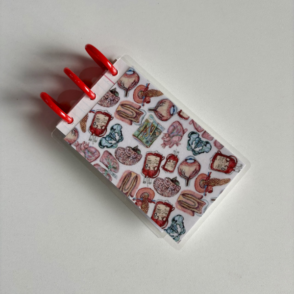 Producto - Fichero N1 - Órganos