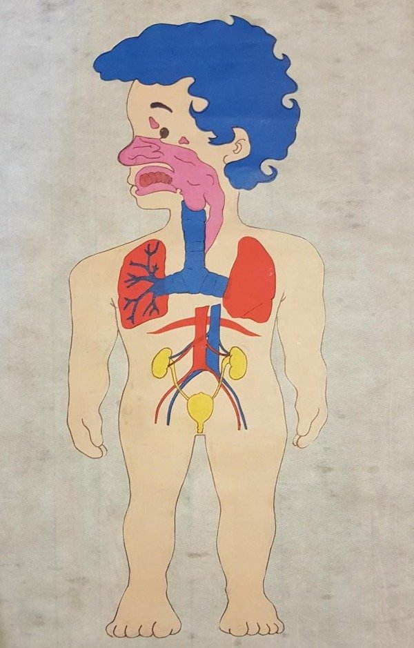 Producto - Sistema respiratorio 1 m x 60 cm