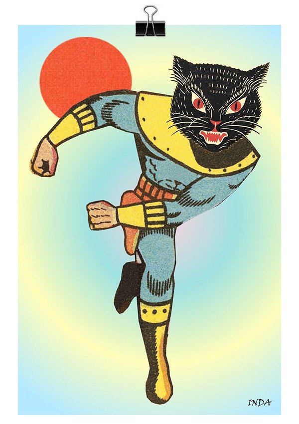 Producto - Super Cat