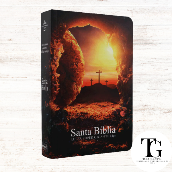 Producto - BIBLIA PIEDRA REMOVIDA