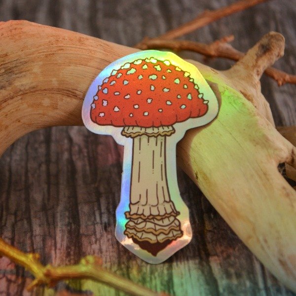 Producto - Amanita (imán)