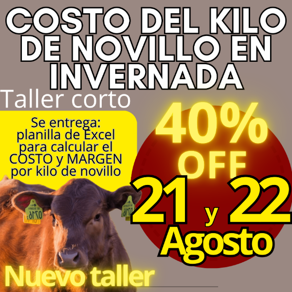 Producto - Taller corto: cálculo del costo del kilo de novillo