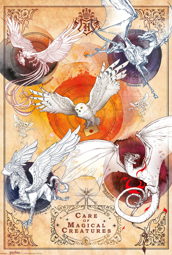 Producto - Poster Harry Potter Magical Creatures