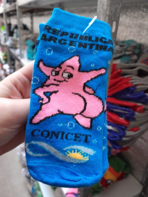 Producto - ESTRELLA CULONA CONICET soq simple adulto