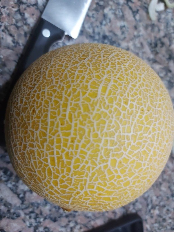 Producto - Melón Honey Moon