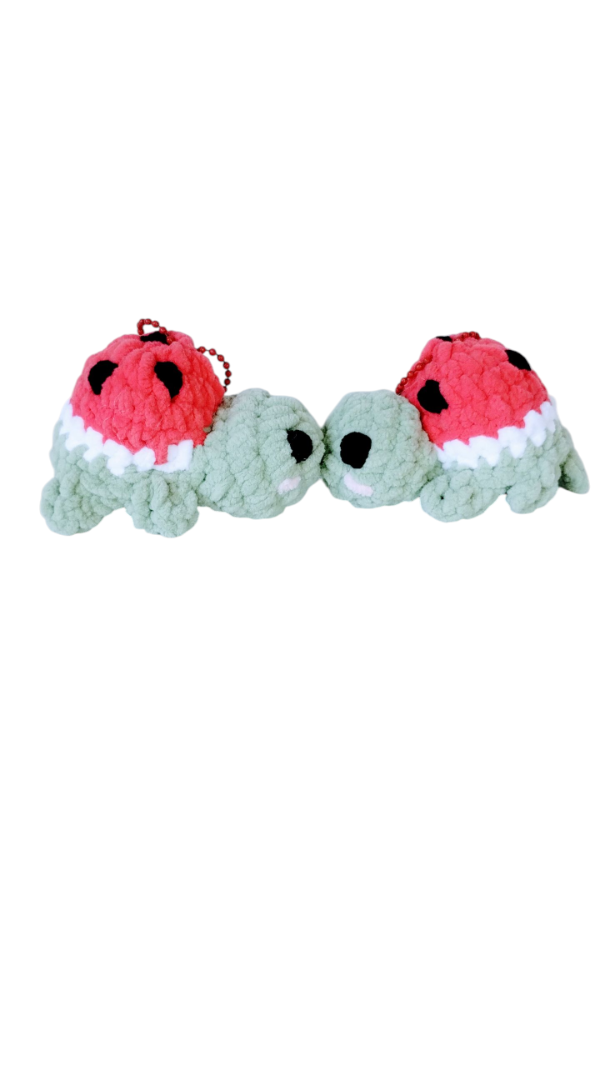 Producto - Tortugas Besuconas