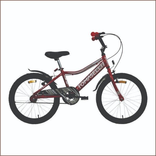 Producto - Bicicleta TOMASELLI Rodado 20 RIDER