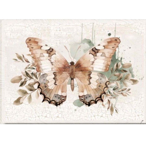Producto - Mariposa 196