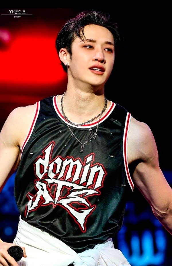 Producto - Musculosa DOMIN ATE STRAY KIDS SKZ