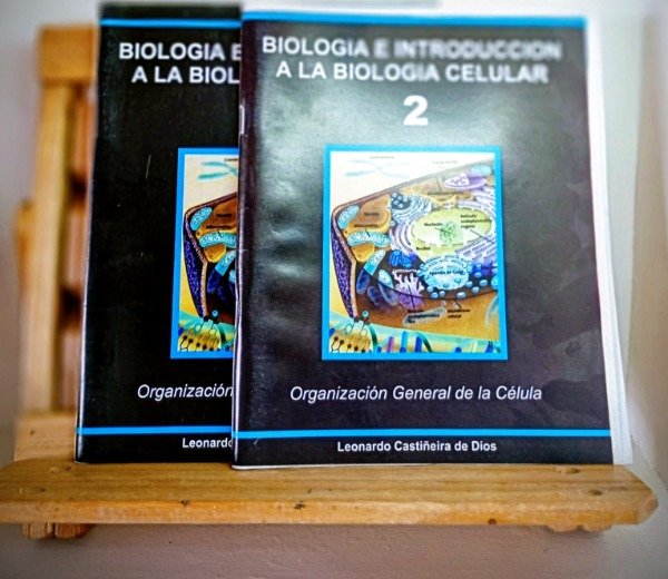 Producto - Organizacion general de la célula 2