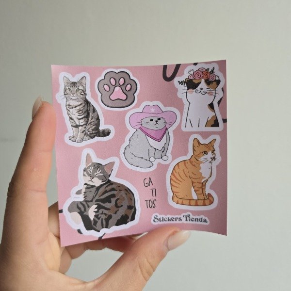 Producto - Planchita mini Gatitos 2