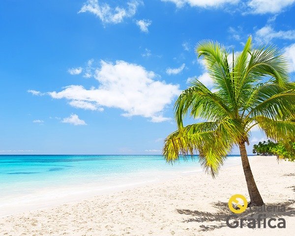 Producto - Mar Playa FS 21