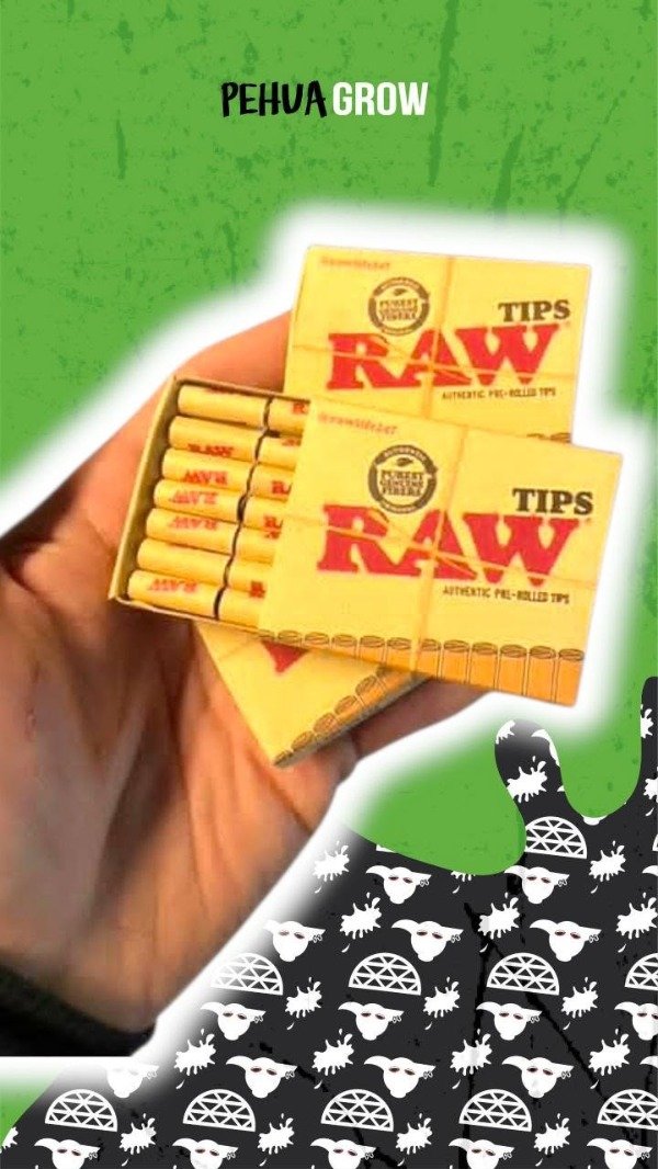 Producto - Filtro Raw pre rolled