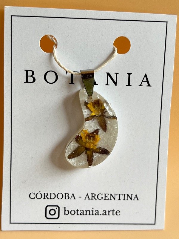 Producto - Variedad 11 silvestre