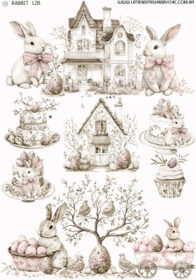 Producto - RABBIT 12B MIXED