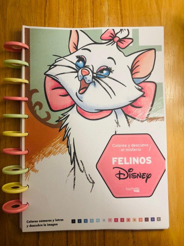 Producto - Cuaderno para colorear con discos inteligentes Felinos