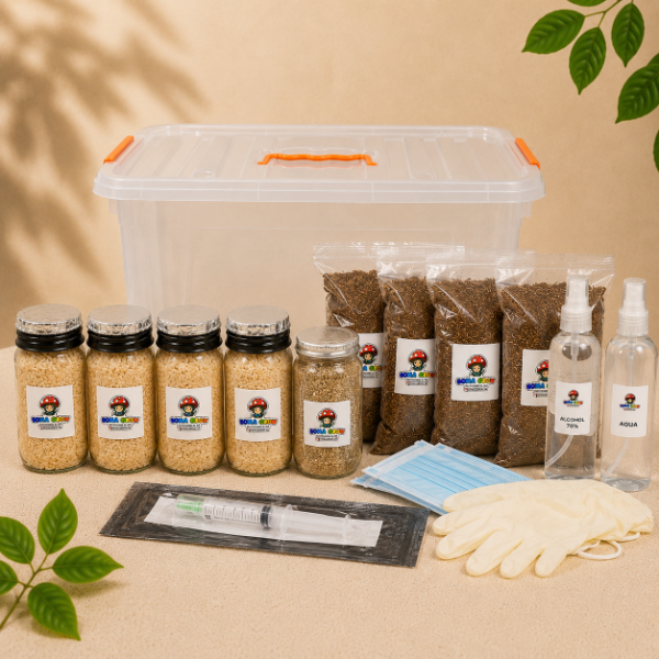 Producto - Kit Hongos Cultura Liquida Full