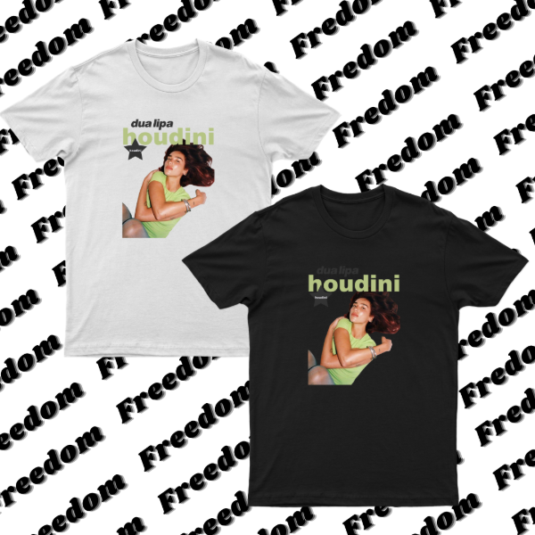 Producto - Remera houdini