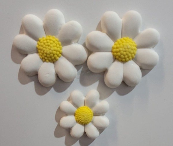 Producto - MARGARITAS A