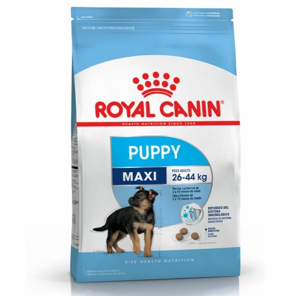 remote control robot dog