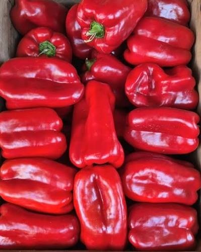 Producto - Morrón rojo agro x 500 grs (Roy, Pcia de Corrientes)