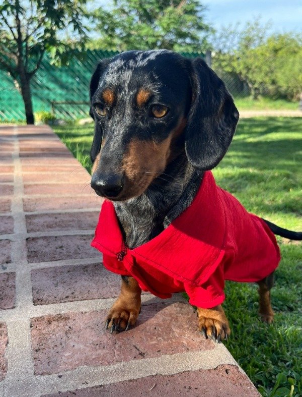 Miniatura de producto - 3