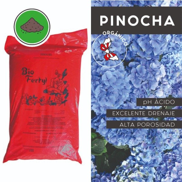 Producto - Pinocha 10dm3