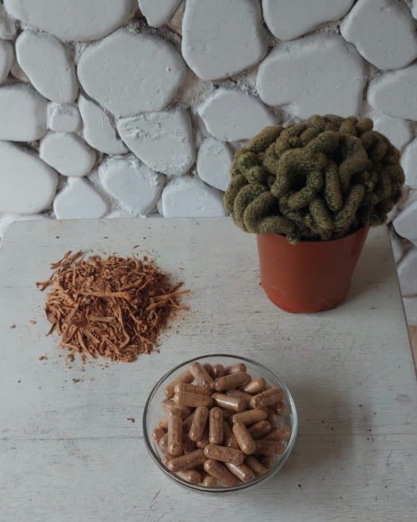 Producto - Blend de 30 cápsulas de 0,4 de CORDYCEPS -ENERGÍA-