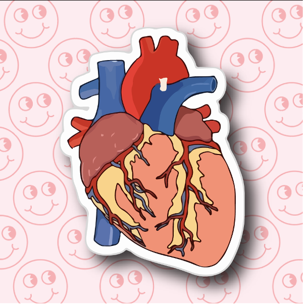 Imágenes Geniales De Corazones Humanos