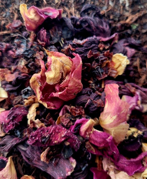 Producto - ELEGIR Té frio