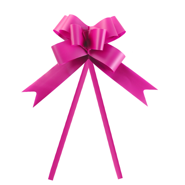 Producto - Moño Mate #50