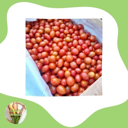 Producto - Tomates cherry