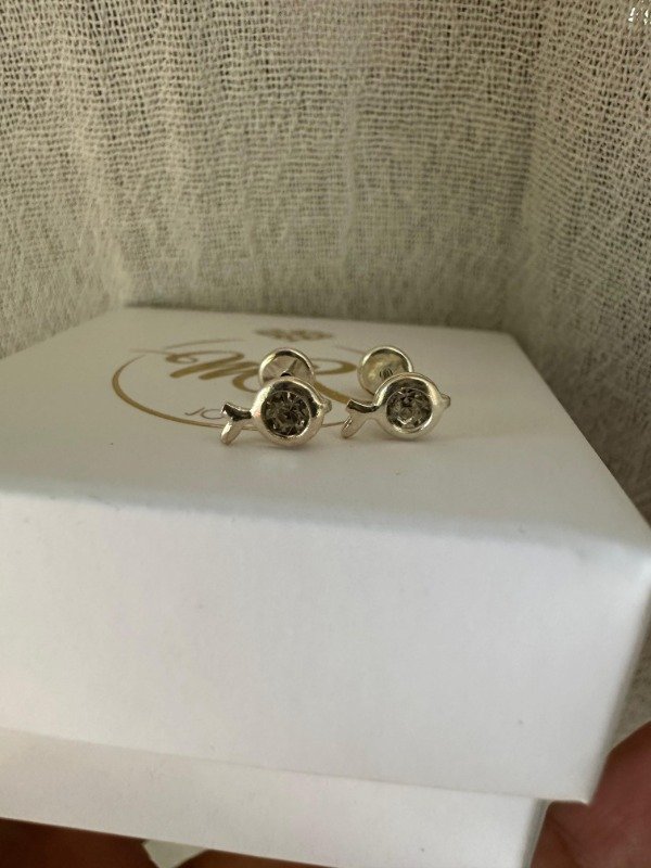 Producto - Dos pecesitos plata 925