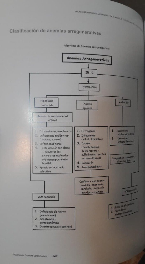 Producto - Arauz: Atlas de Hematología Veterinaria - 5