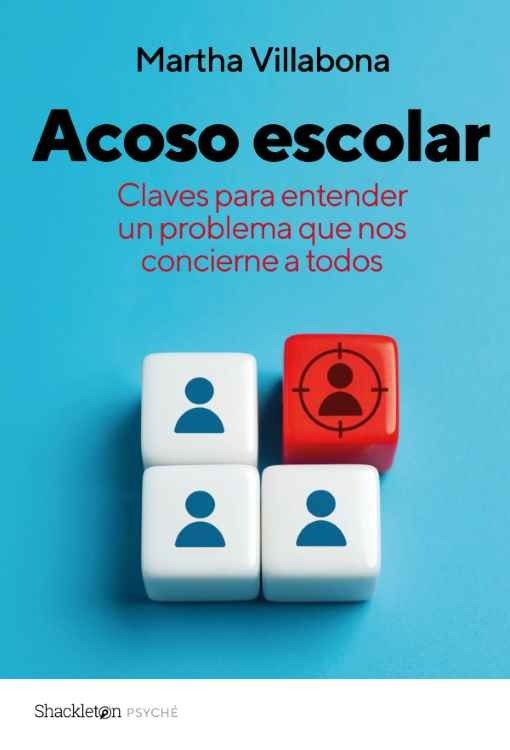 Producto - Acoso escolar - Martha Villabona