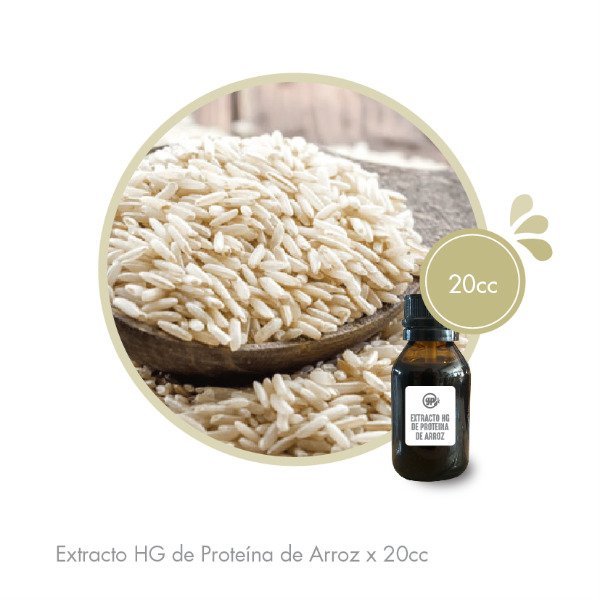 Producto - Extracto HG de Proteina Arroz