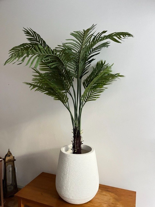Producto - Areca Sin Riego 165cm