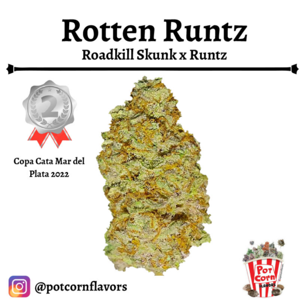 Producto - POTCORN FLAVORS ROTTEN RUNTZ