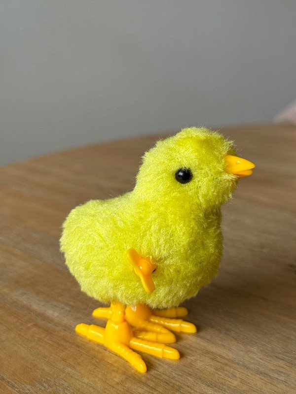 Producto - Pollito a cuerda