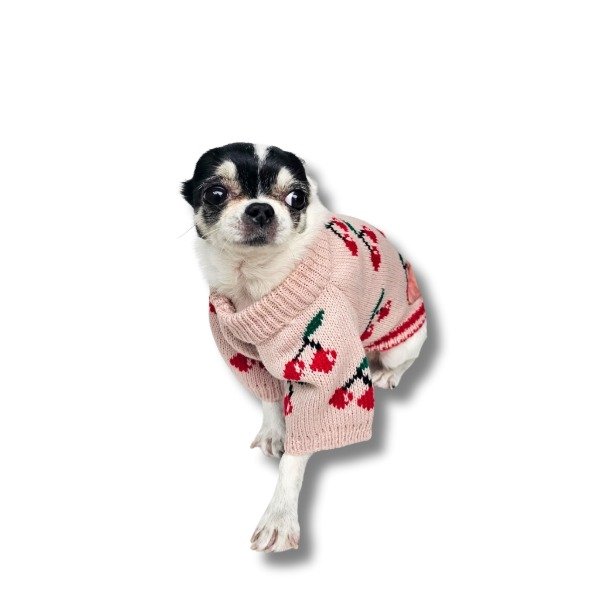 Producto - SWEATER CHERRY