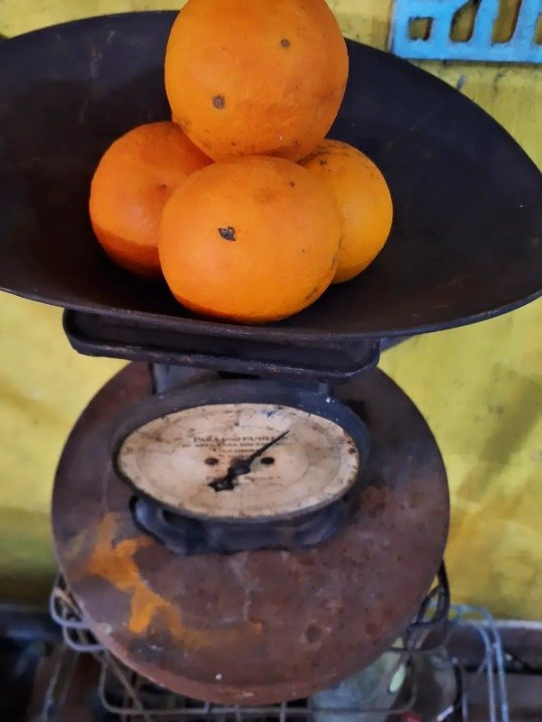 Producto - Antigua balanza de cocina - 1