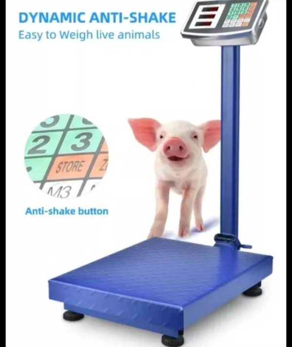 Producto - HE1474 BALANZA COMERCIAL 150 KILOS
