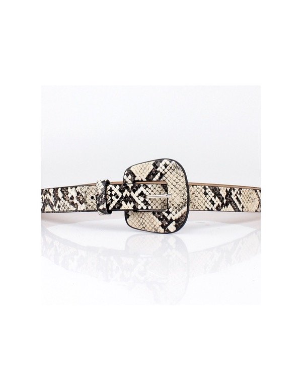 Producto - Cinto Reptil