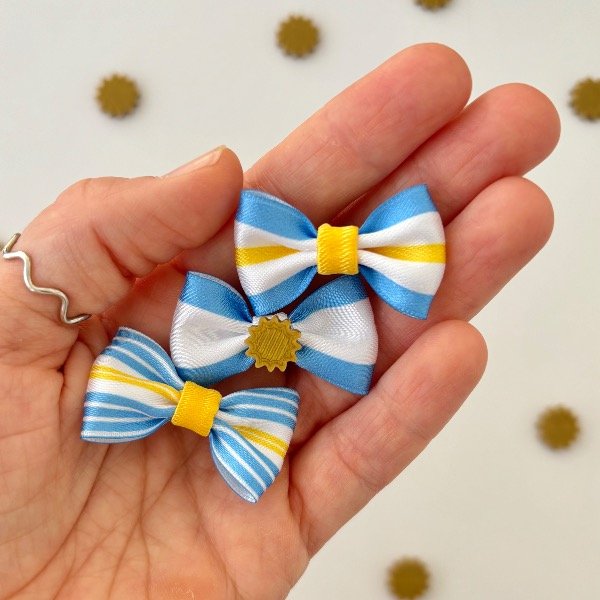 Producto - SET Escarapelas