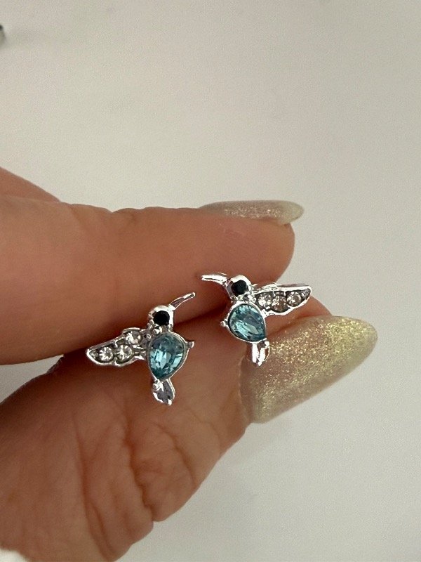 Producto - A1240 Aros colibrí celeste acero quirúrgico