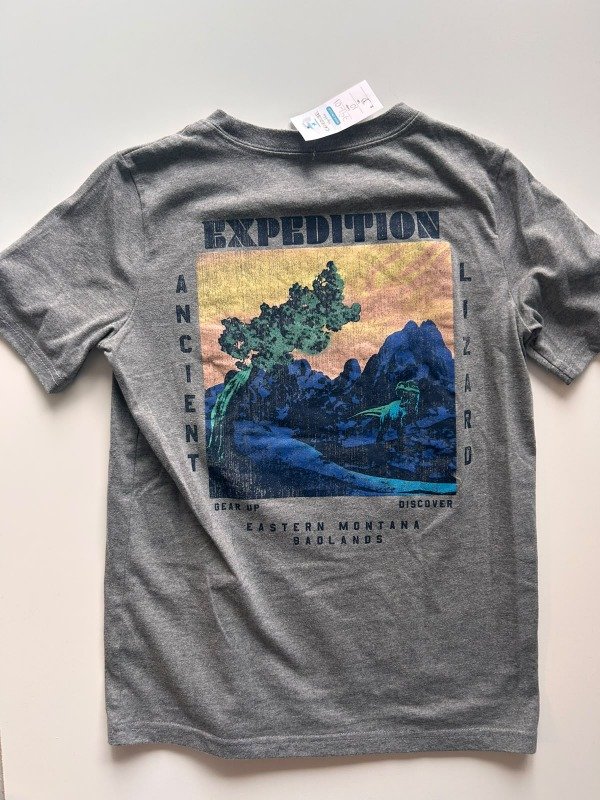 Producto - Remera gris dinosaurio Carters - 1