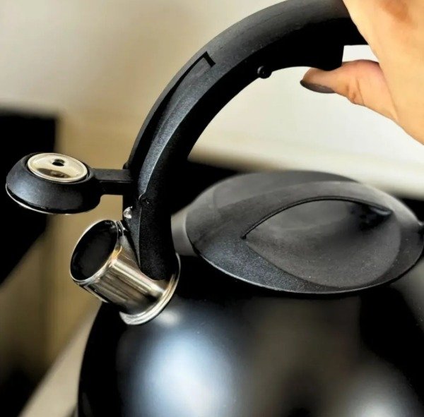 Producto - PAVA SILVADORA NEGRO MATE 2.7 LITROS - 1